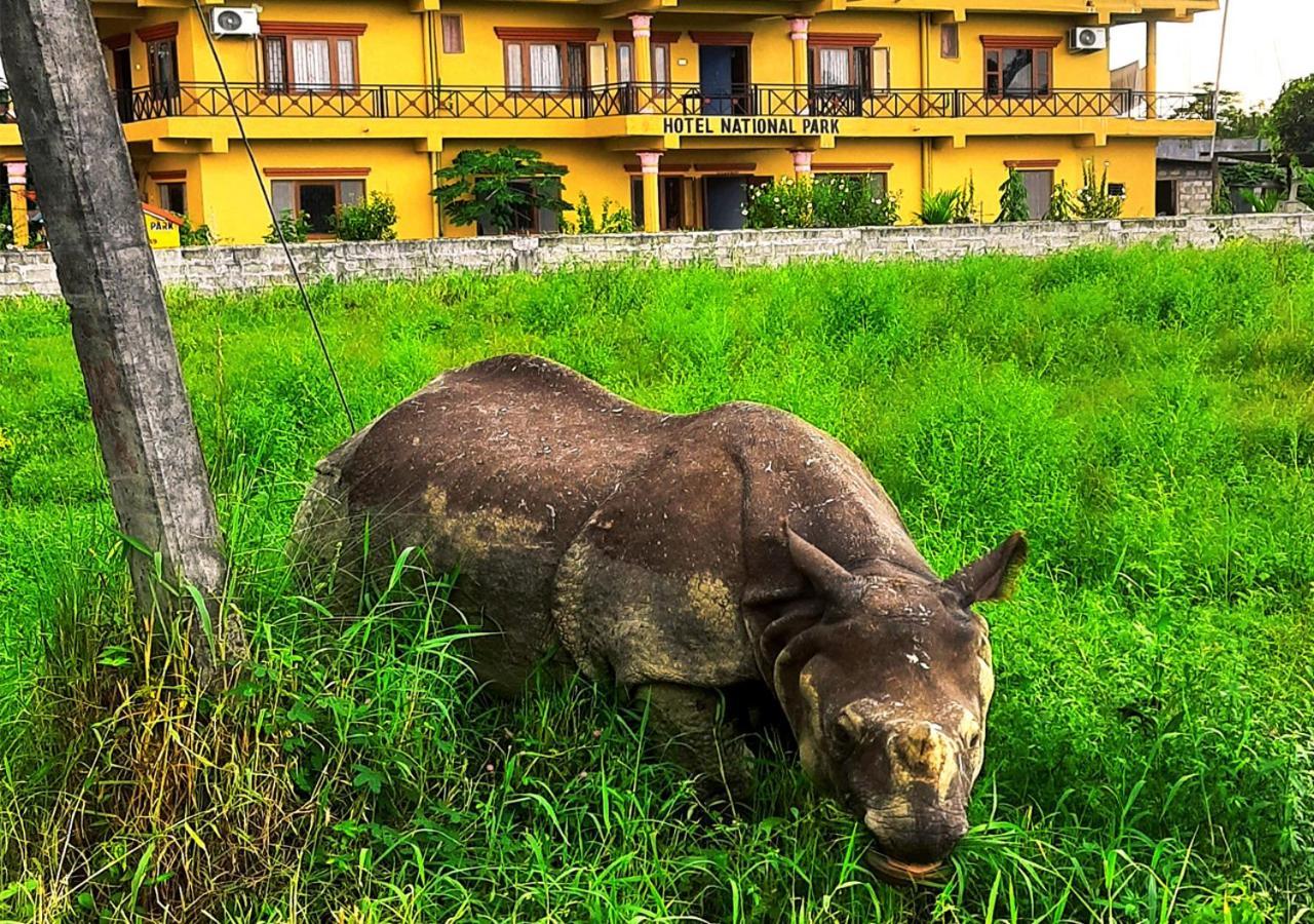 Hotel National Park- Best hotel in Sauraha Exterior foto