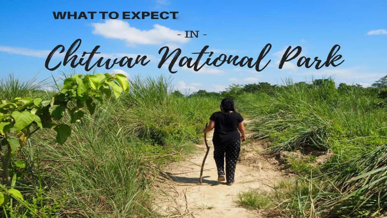 Hotel National Park- Best hotel in Sauraha Exterior foto