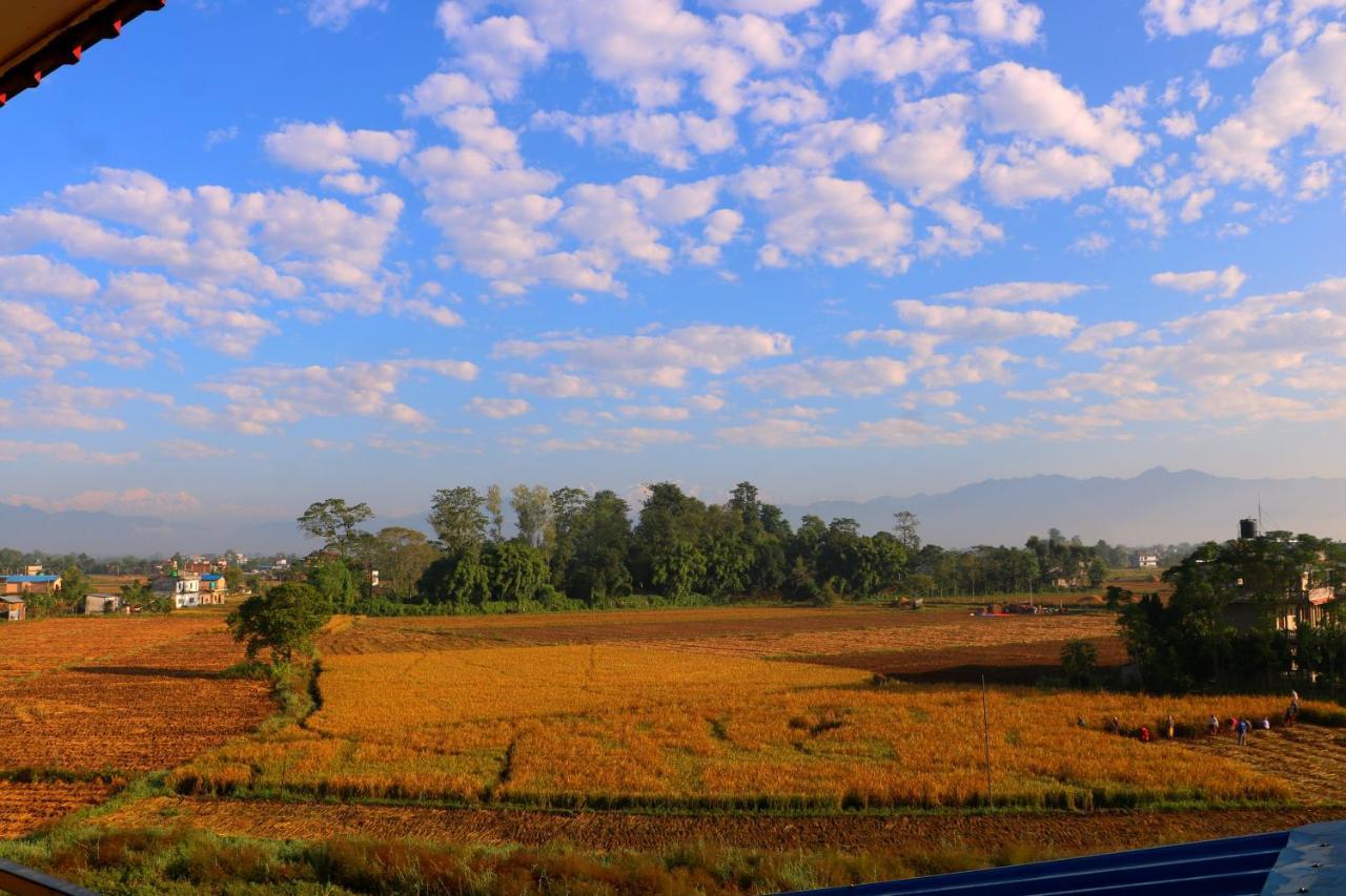 Hotel National Park- Best hotel in Sauraha Exterior foto