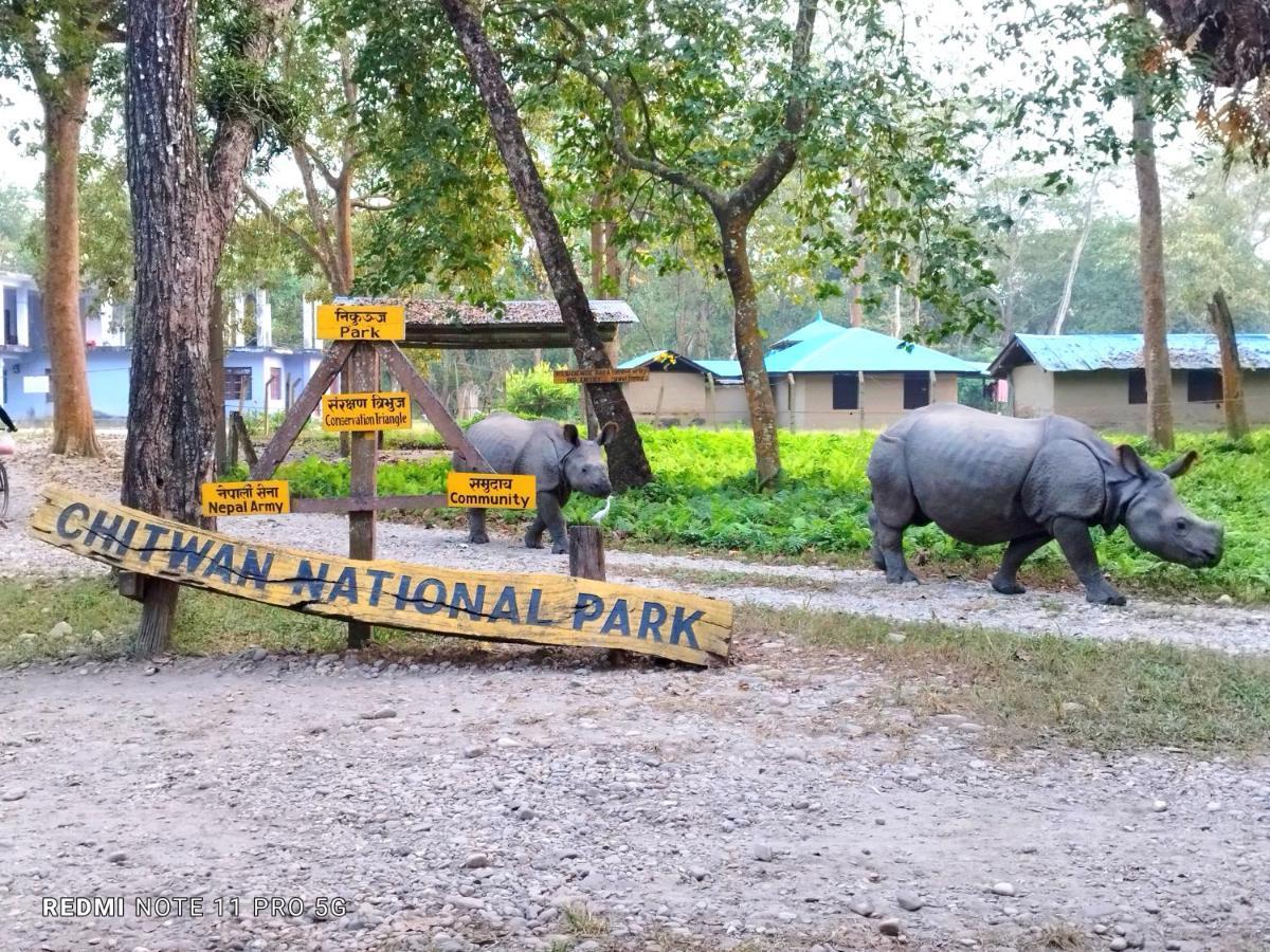 Hotel National Park- Best hotel in Sauraha Exterior foto