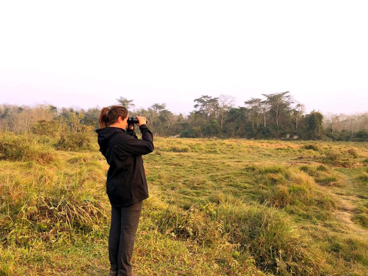 Hotel National Park- Best hotel in Sauraha Exterior foto