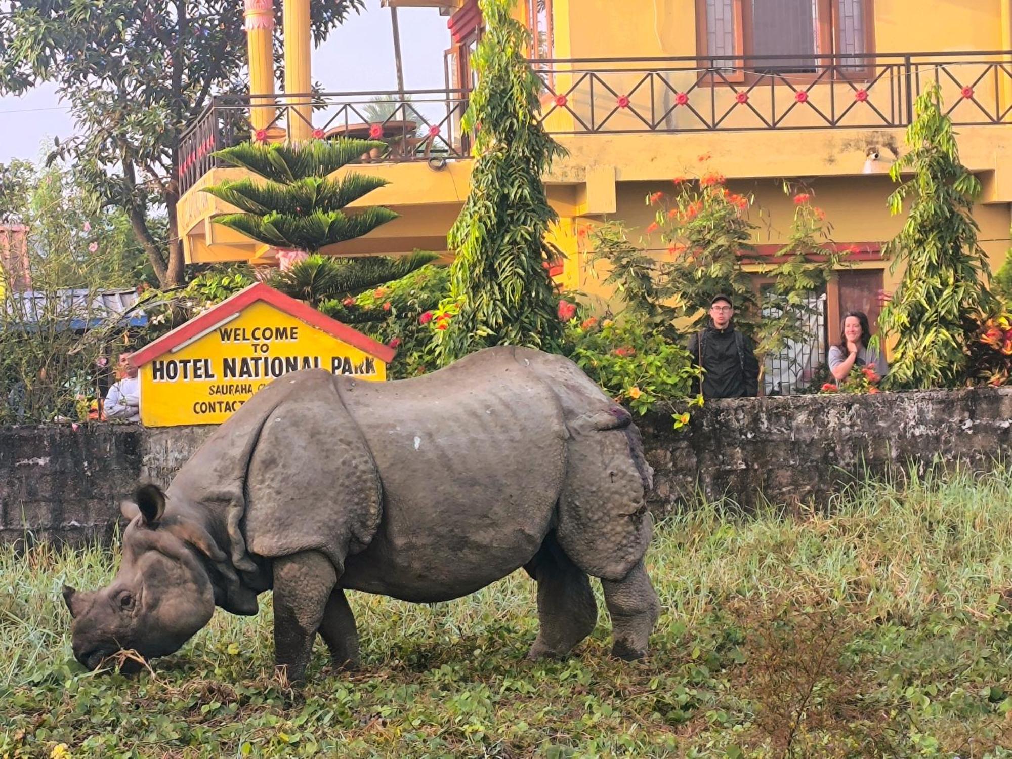 Hotel National Park- Best hotel in Sauraha Exterior foto